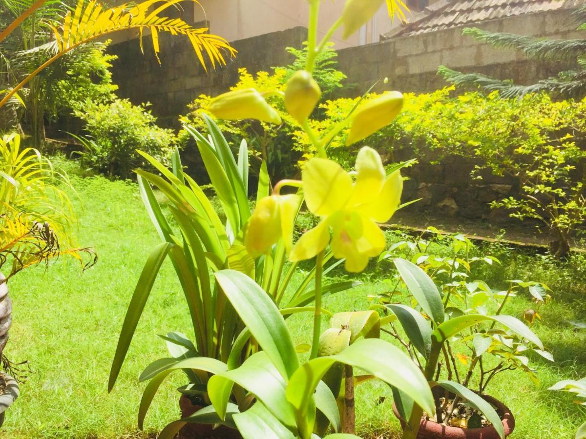Ganesh House Ayurveda Homestay โกวาลัม ภายนอก รูปภาพ